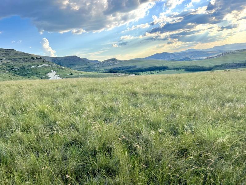 0 Bedroom Property for Sale in Fouriesburg Free State